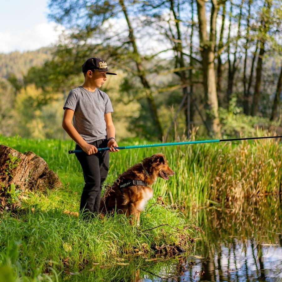 Village Vacances Cap France La Bolle Saint-Die-des-Vosges Zewnętrze zdjęcie