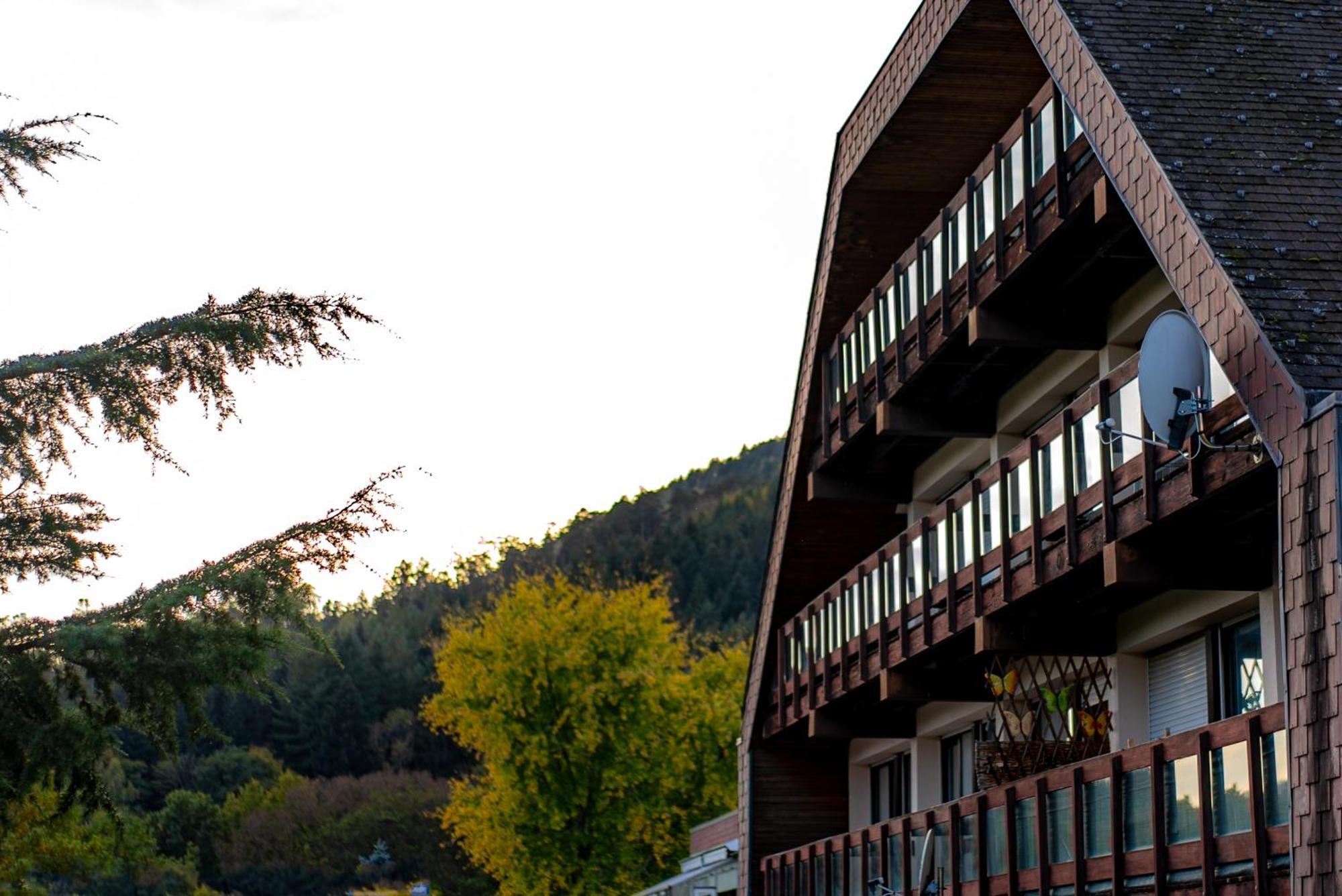 Village Vacances Cap France La Bolle Saint-Die-des-Vosges Zewnętrze zdjęcie