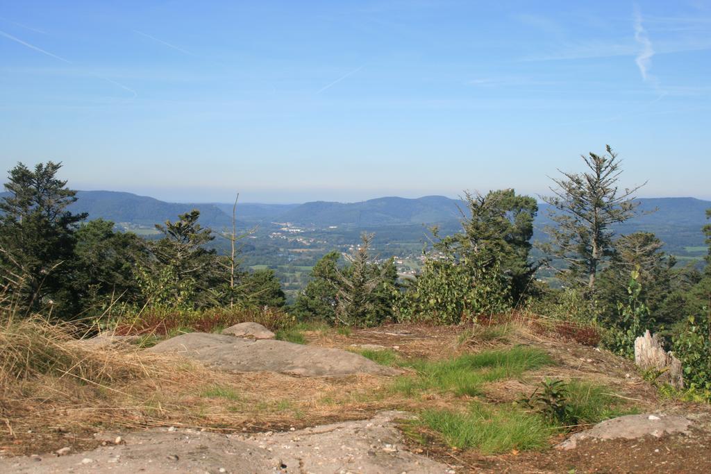 Village Vacances Cap France La Bolle Saint-Die-des-Vosges Zewnętrze zdjęcie